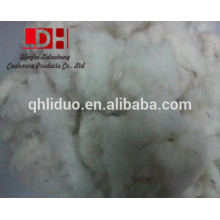 wool noils from China